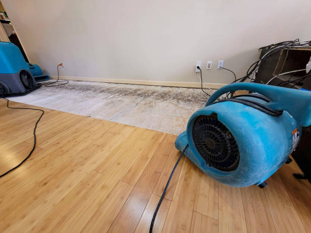 Professional Sewage Cleanup technician working in West Hills, CA